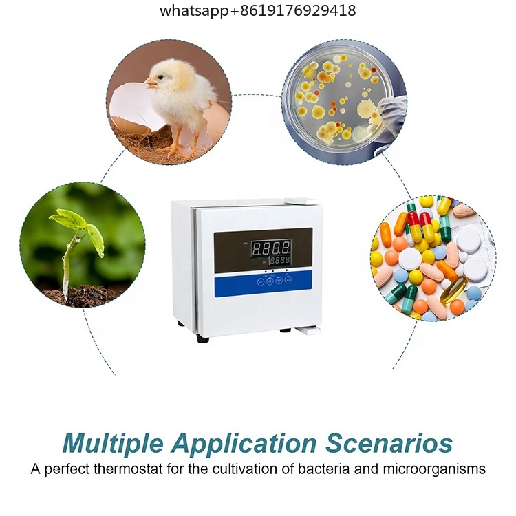Laboratory 2L Mini Thermostat  - Lab Incubator 评论和价格