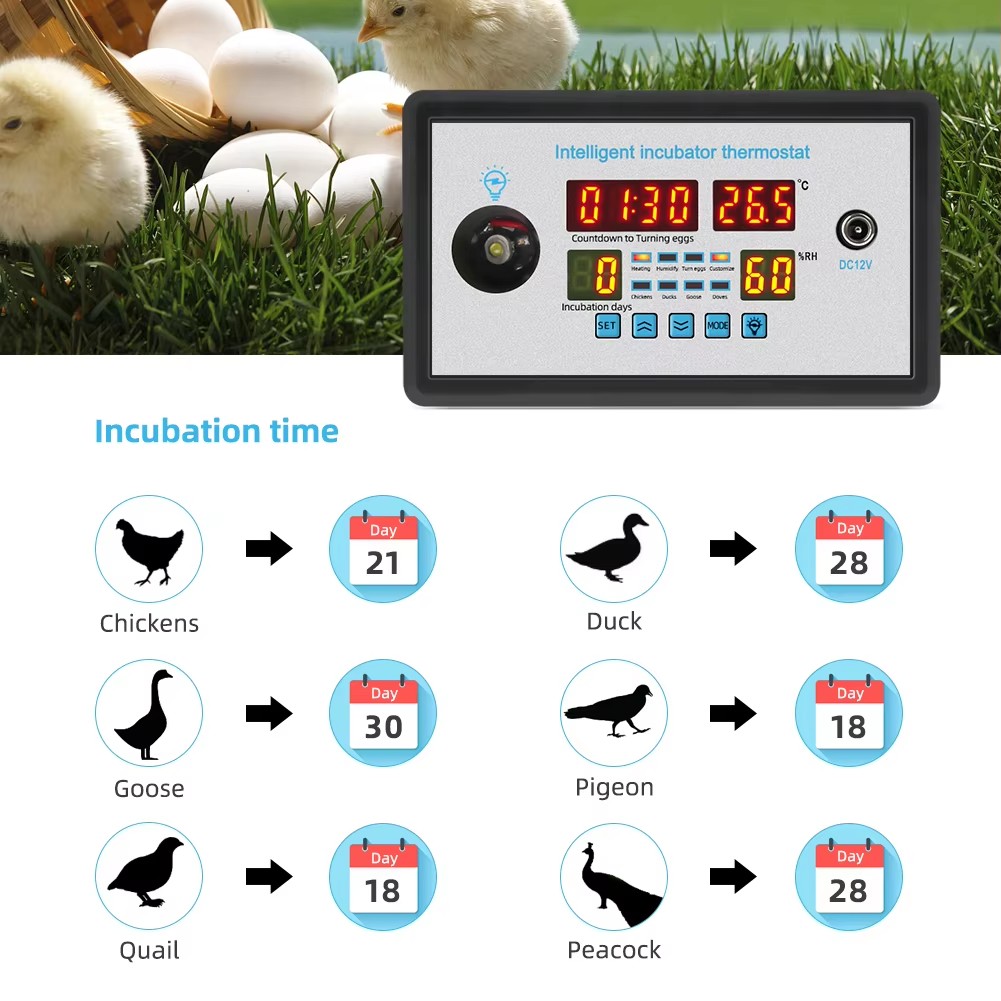 ZFX-W9002 12V/220V Egg Incubat - Lab Incubator 评论和价格