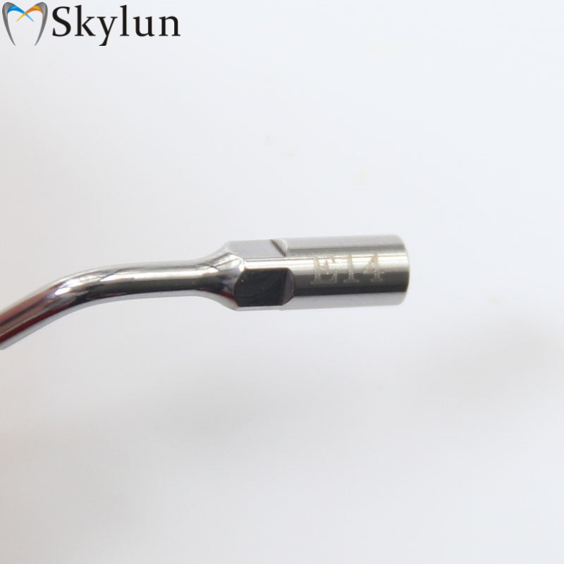 5PCS Dental Ultrasonic Scaler  - Dental Scaler Ultrasonic 评论和价格