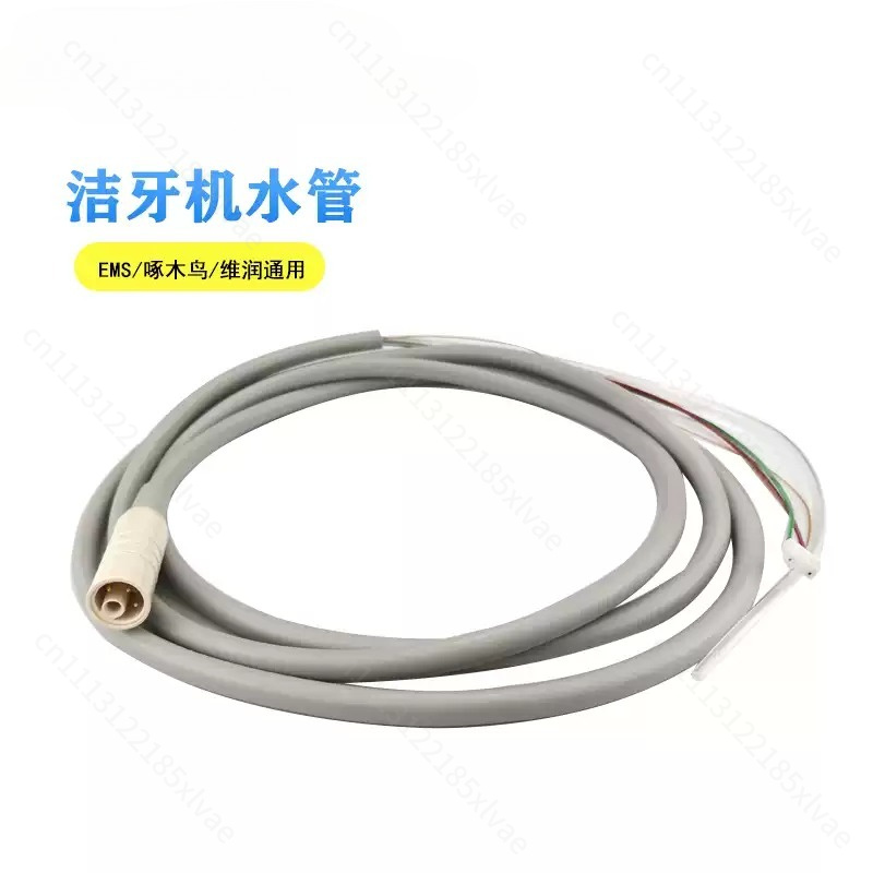 Dental Scaler Handle Ultrasoni - Dental Scaler Ultrasonic 评论和价格