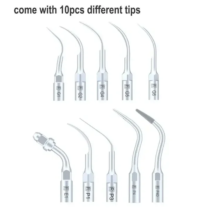 2025 LED Handpiece Pet Hospita - Dental Scaler Ultrasonic 评论和价格