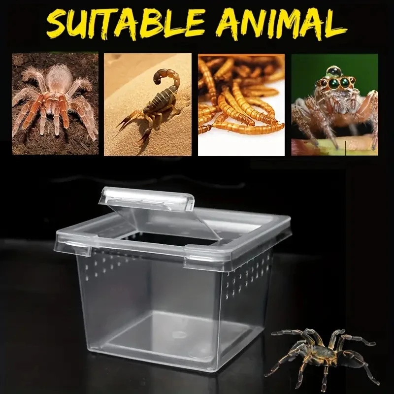 10 Feeding Box Reptile Cages I - Lab Incubator 评论和价格