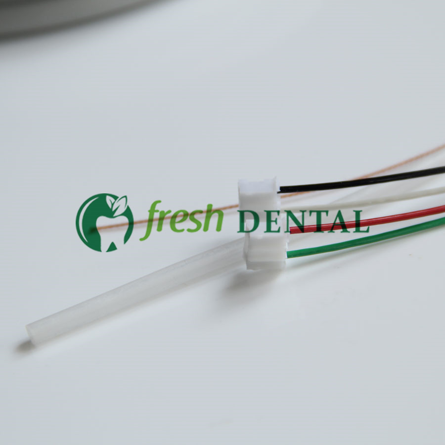 Dental Ultrasonic Scaler Handl - Dental Scaler Ultrasonic 评论和价格