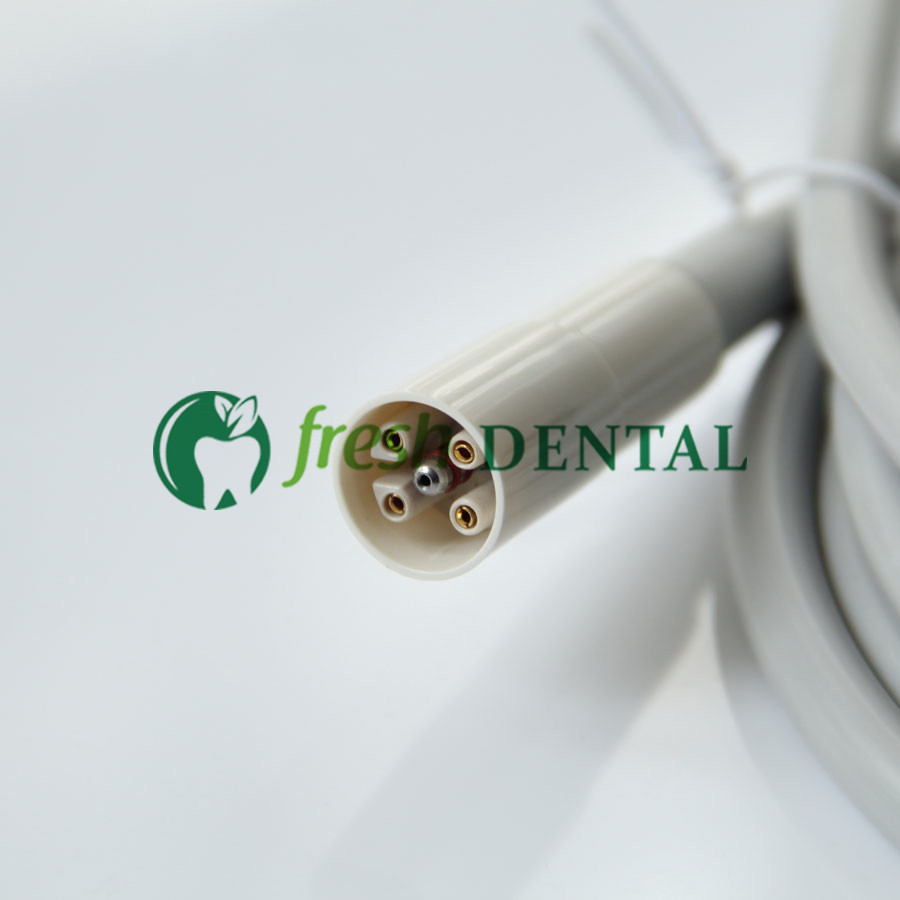 Dental Ultrasonic Scaler Handl - Dental Scaler Ultrasonic 评论和价格
