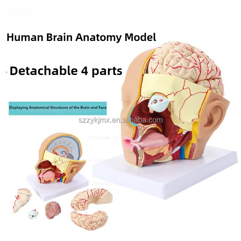 Medical Science Resource Human - Medical Lab And Science 评论和价格