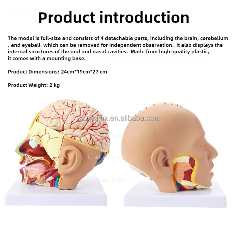 Medical Science Resource Human - Medical Lab And Science 评论和价格