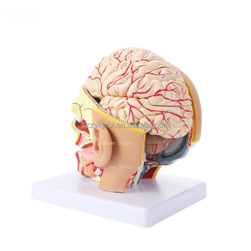 Medical Science Resource Human - Medical Lab And Science 评论和价格