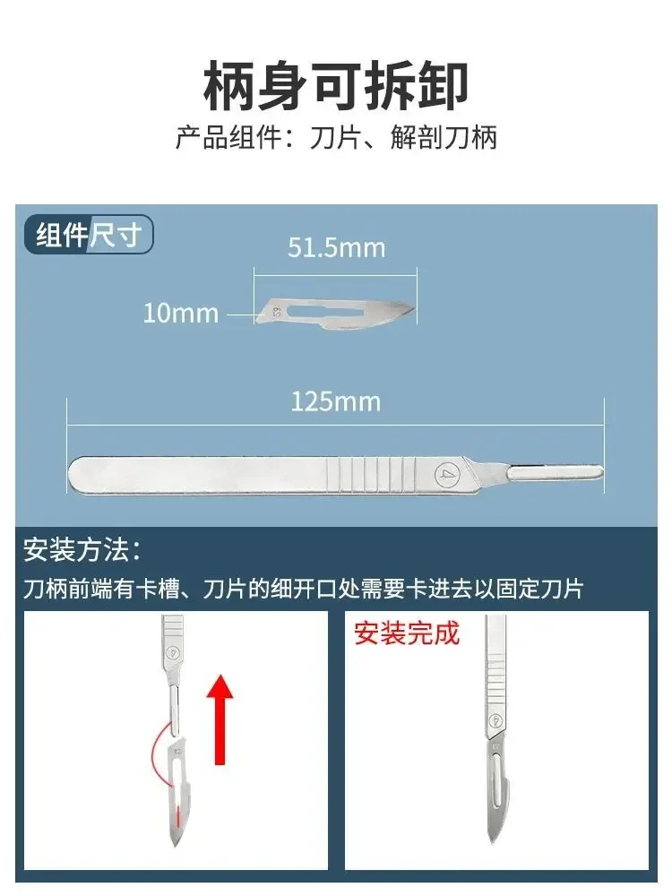 Stainless Steel Insect Dissect - Medical Lab And Science 评论和价格