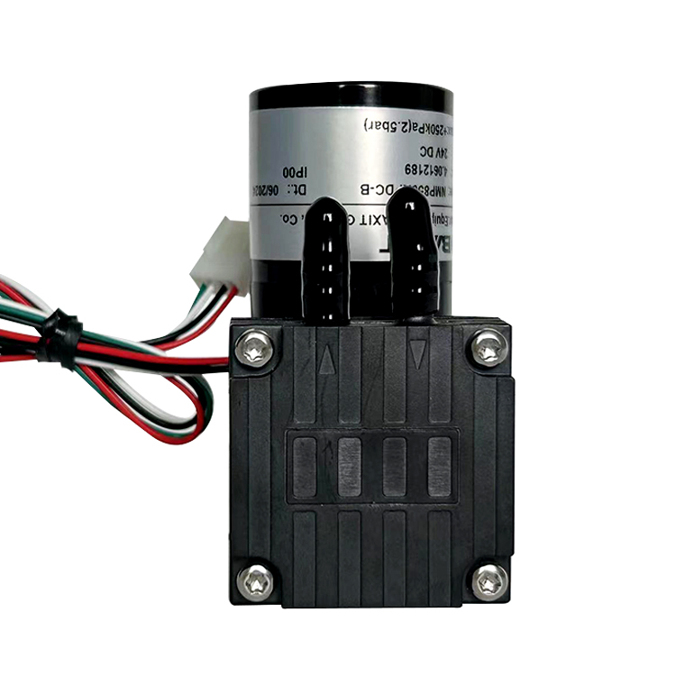Micro Diaphragm Pump Low Noise - Medical Lab And Science 评论和价格