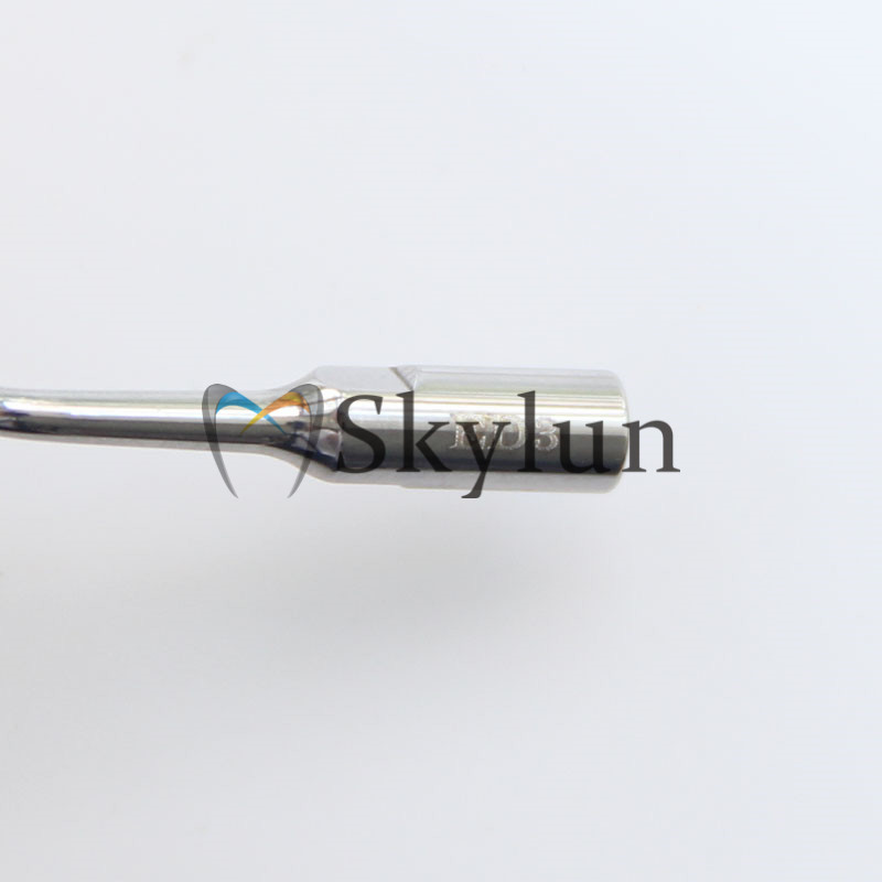 5PCS Dental Ultrasonic Scaler  - Dental Scaler Ultrasonic 评论和价格