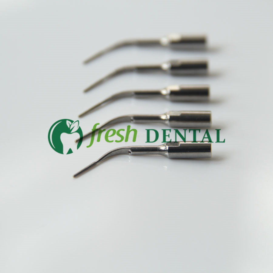 5PCS Dental Ultrasonic Scaler  - Dental Scaler Ultrasonic 评论和价格