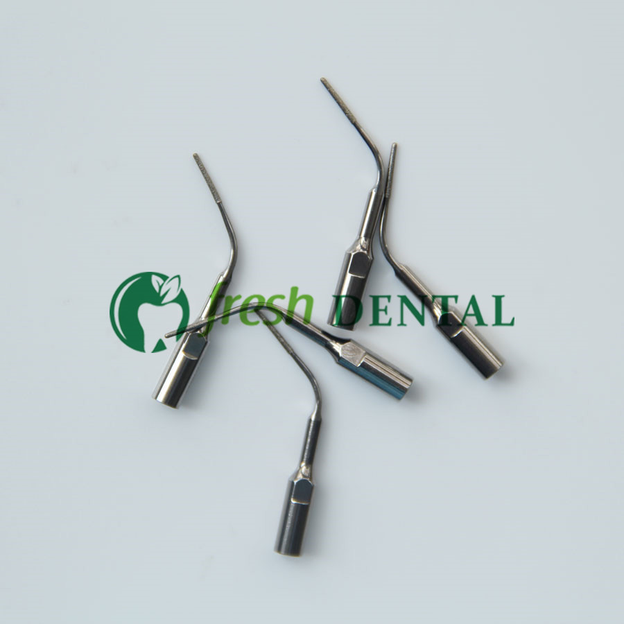 5PCS Dental Ultrasonic Scaler  - Dental Scaler Ultrasonic 评论和价格