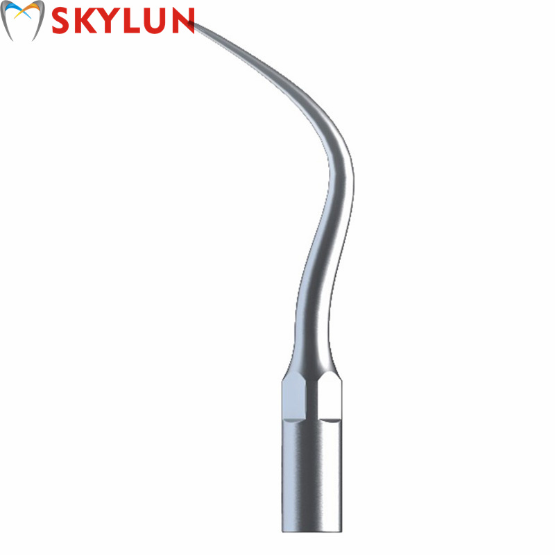 5PCS P4 Dental Ultrasonic Scal - Dental Scaler Ultrasonic 评论和价格