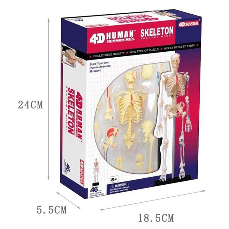 4D Master Human Skeleton Anato - Medical Lab And Science 评论和价格